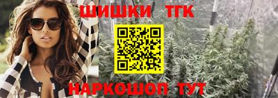 индика Камышлов