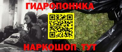 индика Камышлов