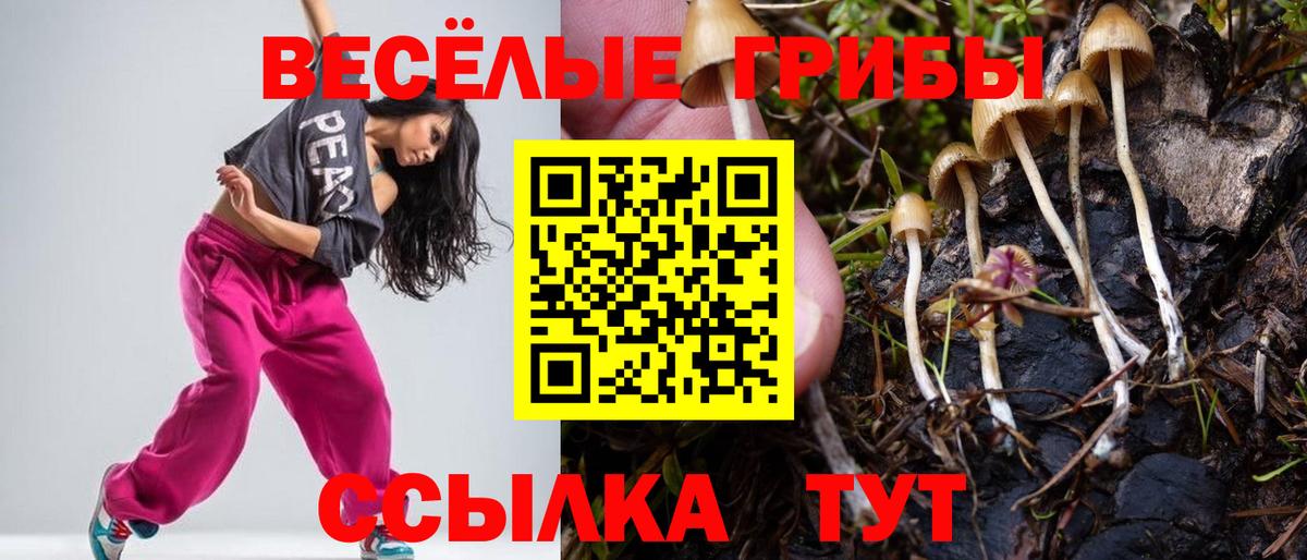 Псилоцибиновые грибы мухоморы Кыштым